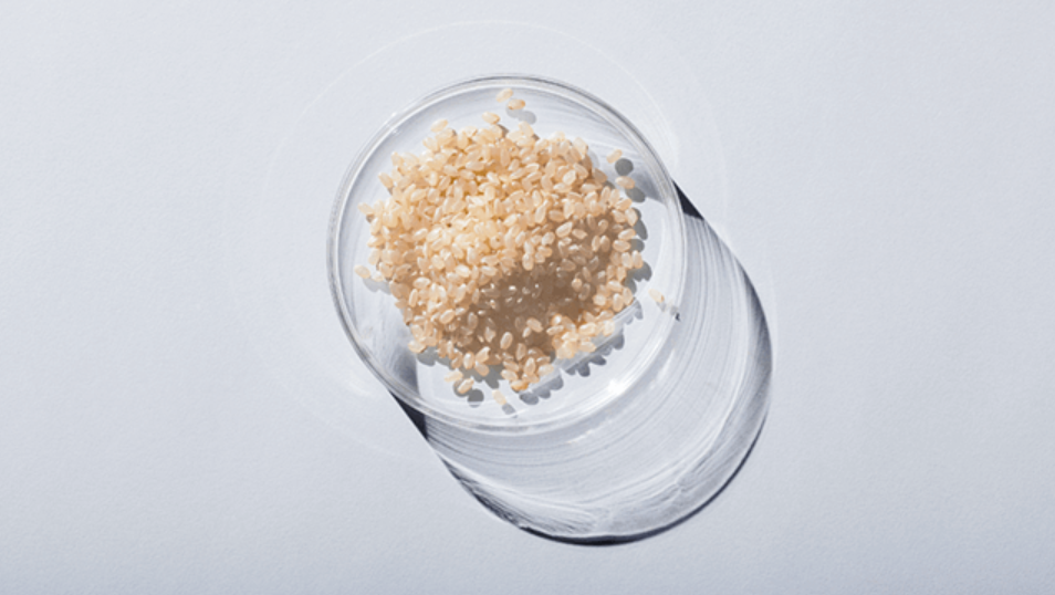 米胚芽由来のグルコシルセラミドを配合