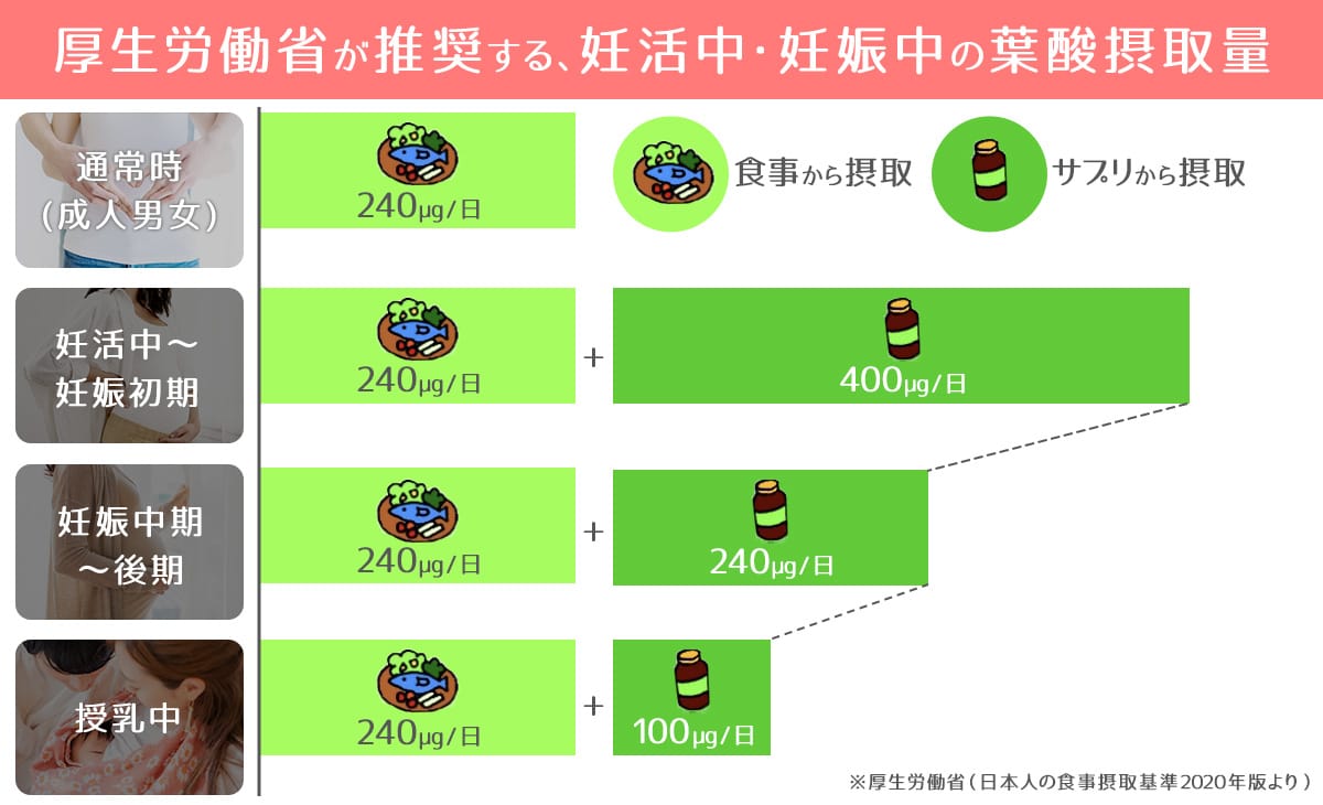 葉酸サプリの必要な摂取量について