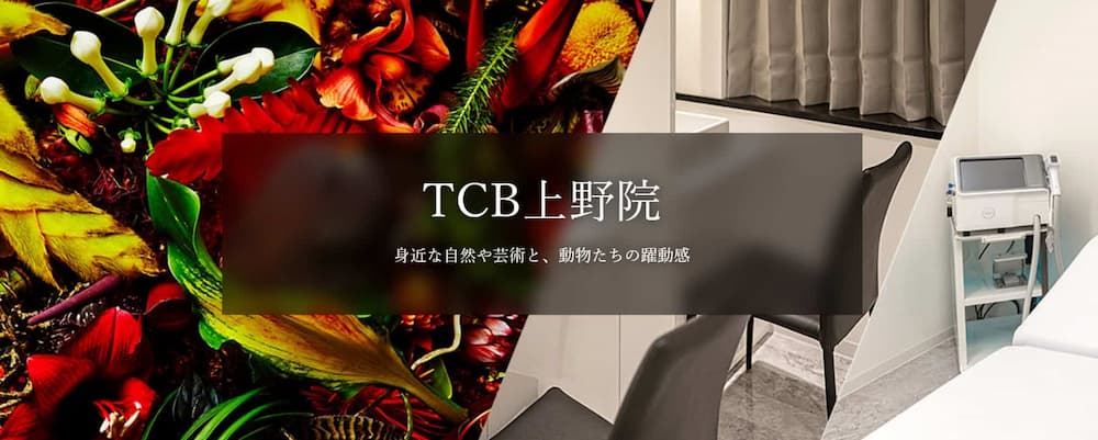 TCB東京中央美容美容外科上野院